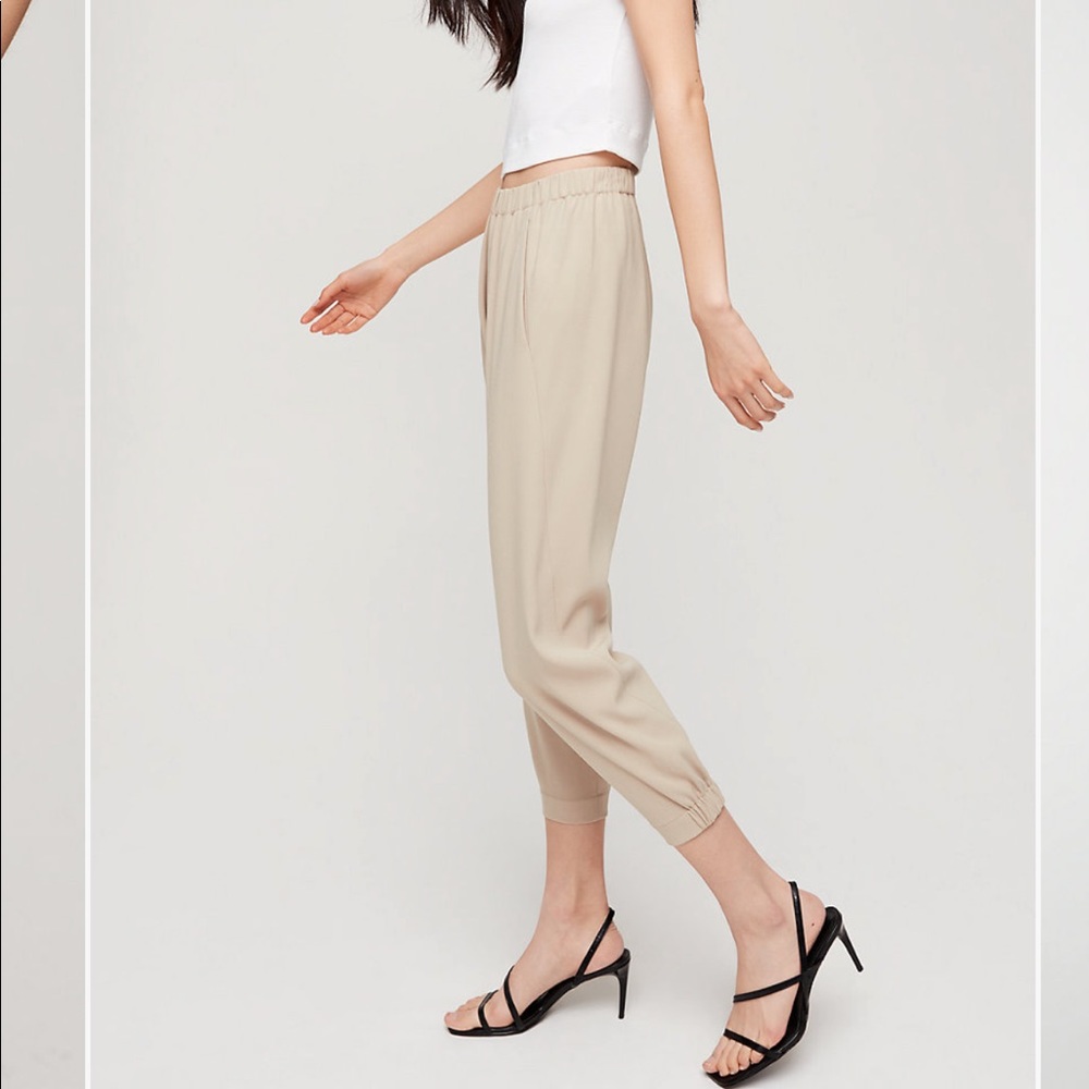 Aritzia Babaton Dexter Pants